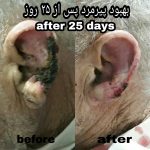 IMG_20200807_200512_283